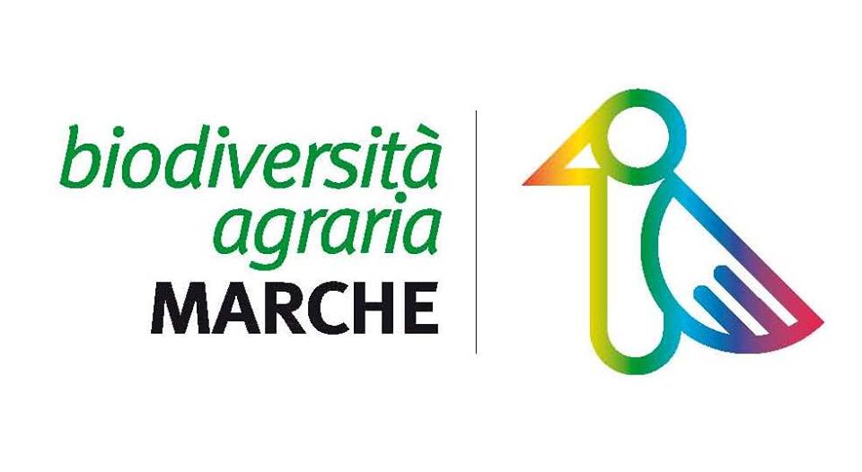 31/08/2021: Webinar di presentazione "Dialogare, Riflettere, Creare con la Biodiversità Agraria delle Marche"