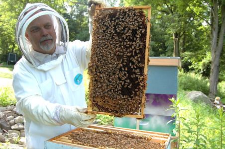 Convegno regionale "Le produzioni di qualità e la salvaguardia delle api e dell’ambiente – Premio qualità miele marchigiano 2021"