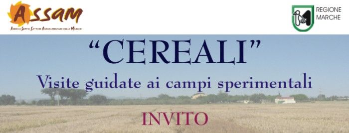 26/05/2022: Visite prove sperimentali Cereali presso Azienda Agricola ASSAM Jesi 2022